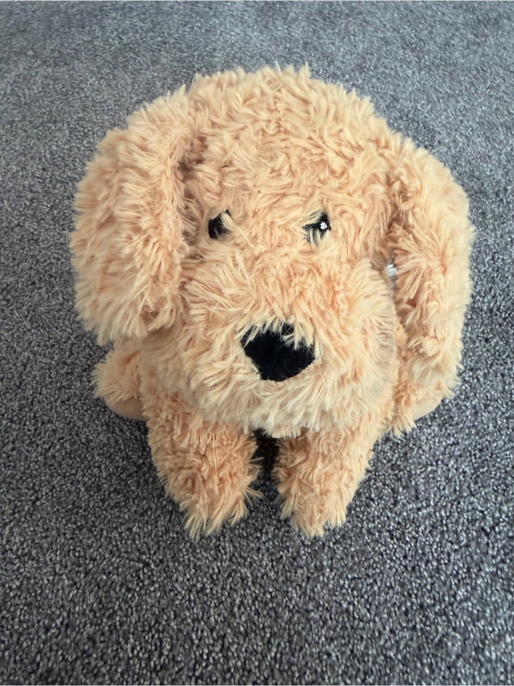 Warmies Microwavable Golden doodle Dog Plush Weighted Scented Puppy 13"